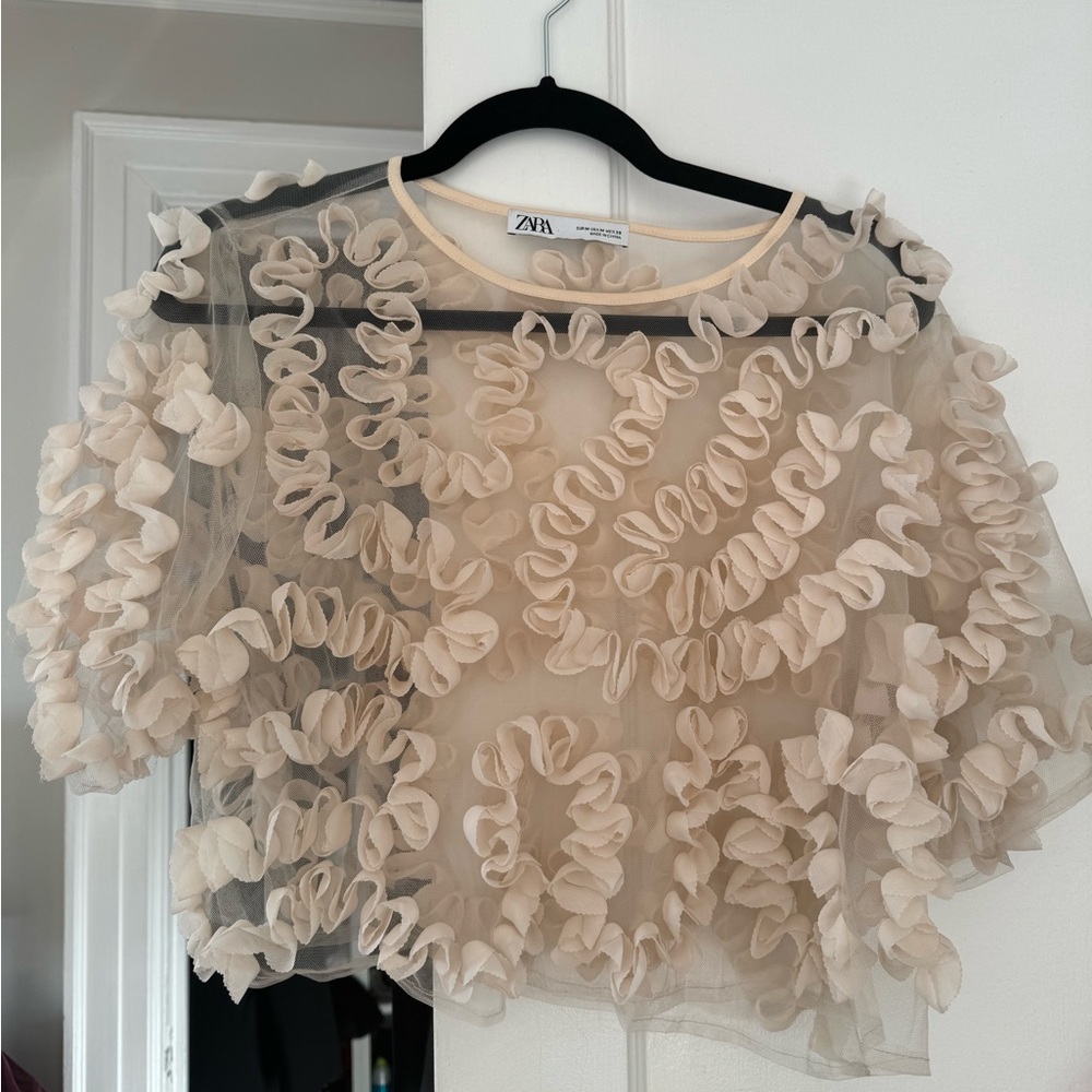Zara crop top
